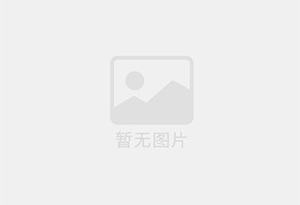 ry型耐高温导热油泵